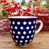 Becher, max.300 ml, Höhe 9 cm, Tradition 5 - BSN m-798^Bunzlauer Keramik Discount
