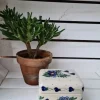 Dose Unikat, 12 x 10 x 8 cm; antik eventuell Glasurrisse^Bunzlauer Keramik Outlet