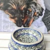 Futternapf gross für Hund + Katze, Ø20 cm ,7 cm, Tradition 33, BSN A-1512^Bunzlauer Keramik Clearance