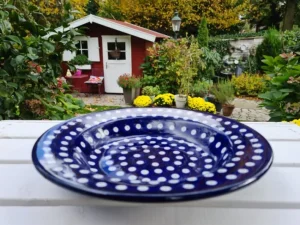 Mittagsteller, tief, Ø 23,5 cm, Tradition 5- BSN 1736^Bunzlauer Keramik Hot