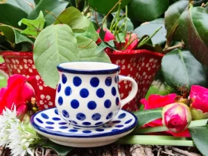 Mocca/Espresso-Tasse mit Unterteller, Tradition 24 - BSN 20665^Bunzlauer Keramik New