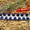Olivenschale, 31 x 5 cm, Höhe 2,5 cm, Tradition 28^Bunzlauer Keramik Discount