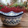 Schale, Ø 18,5 cm,8 cm, Winter Garden, BSN J-4717^Bunzlauer Keramik Best