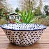 Schale / Auflaufform, Ø 28,5 cm, Höhe 10 cm, Tradition 24 - BSN 8479^Bunzlauer Keramik Outlet