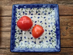 Teller / Platte 20x20 cm, Ivy, BSN J-034^Bunzlauer Keramik Sale