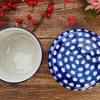 Wasser-Butterdose, Tradition 4 - BSN 2549^Bunzlauer Keramik Fashion
